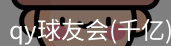 qy球友会
